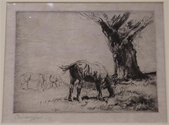 John Nicholson, dry point etching, horse grazing, signed in pencil with accompanying original presentation mount 15 x 20cm, unframed